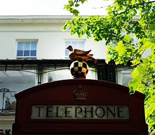 A sculpture of pigeon in Cheltenham